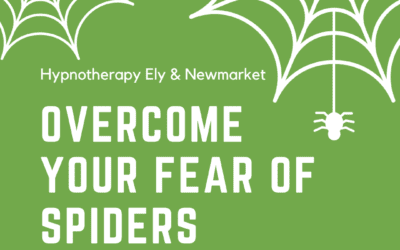 Overcome Your Fear of Spiders