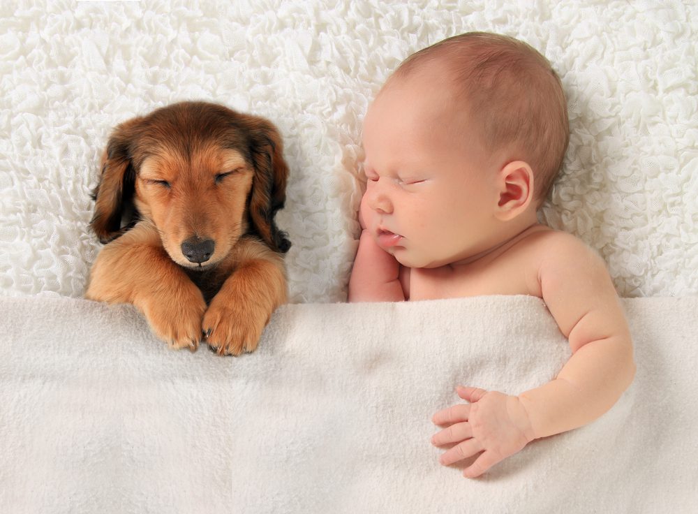 insomnia and sleep disorders hypnotherapy in ely