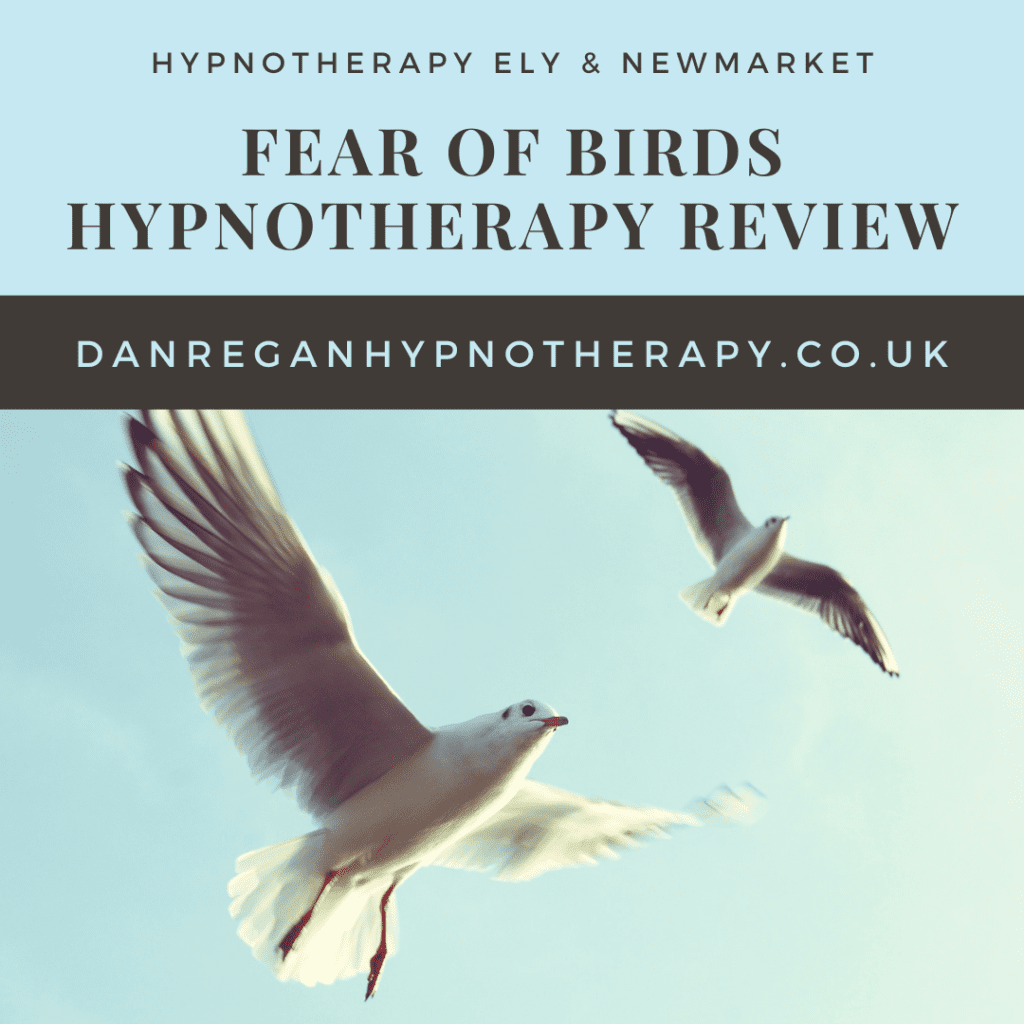 Fear of Birds Hypnotherapy Review - Dan Regan Hypnotherapy in Ely